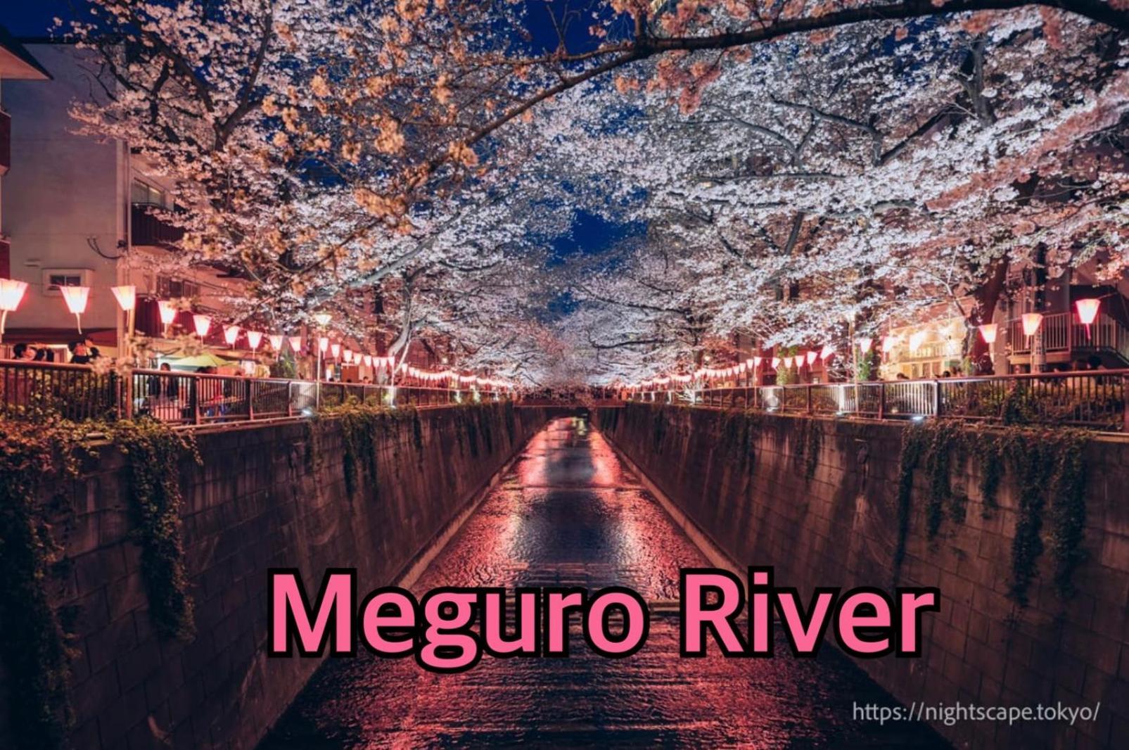 Apartemen Beige Tokyo